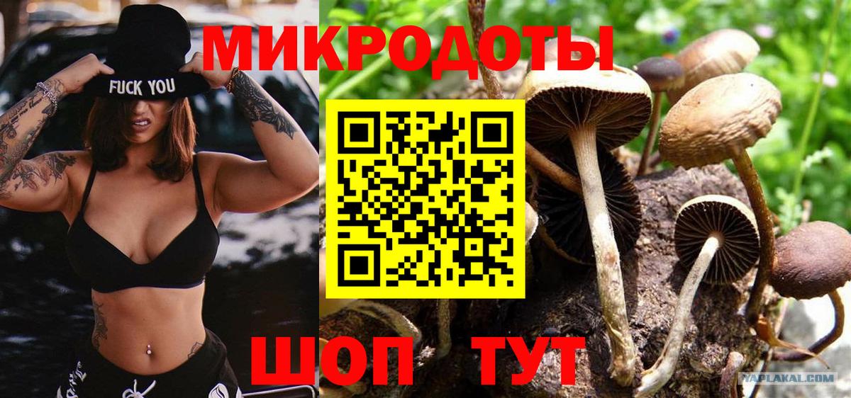 Псилоцибиновые грибы Psilocybe  Галлюциногенные грибы MAGIC MUSHROOMS  Зеленодольск  Вход с VPN 